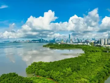 深圳海洋经济创新发展示范项目可获支持
