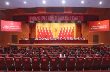 “四有”龙岗，有什么、要什么？