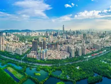 深圳一周丨各区书记区长在忙啥？（1月6日-1月12日）  