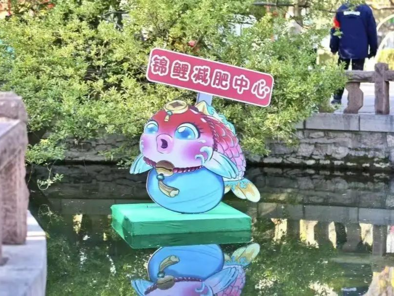 趵突泉景区回应设“锦鲤减肥中心”：只是提醒不要投喂，帮鱼减肥是误传