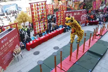 13支队伍竞高低，中山民间狮王、麒麟邀请赛在三角镇举行