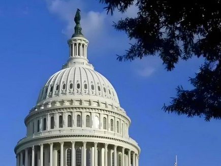 特朗普：正研究将美国罪犯“外包”给萨尔瓦多