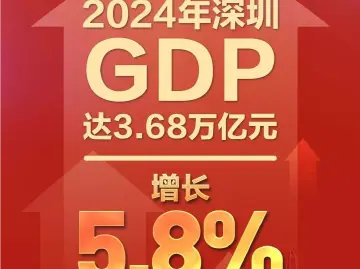 深圳2024年GDP增长5.8%，居国内大中城市前列  