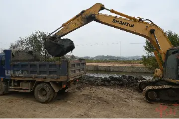 神湾镇：启动9条河涌清淤工作，清淤量将超过10万立方米