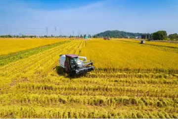 两会前奏丨市政协农业农村委：立足“三农” 履职尽责，促进乡村全面振兴