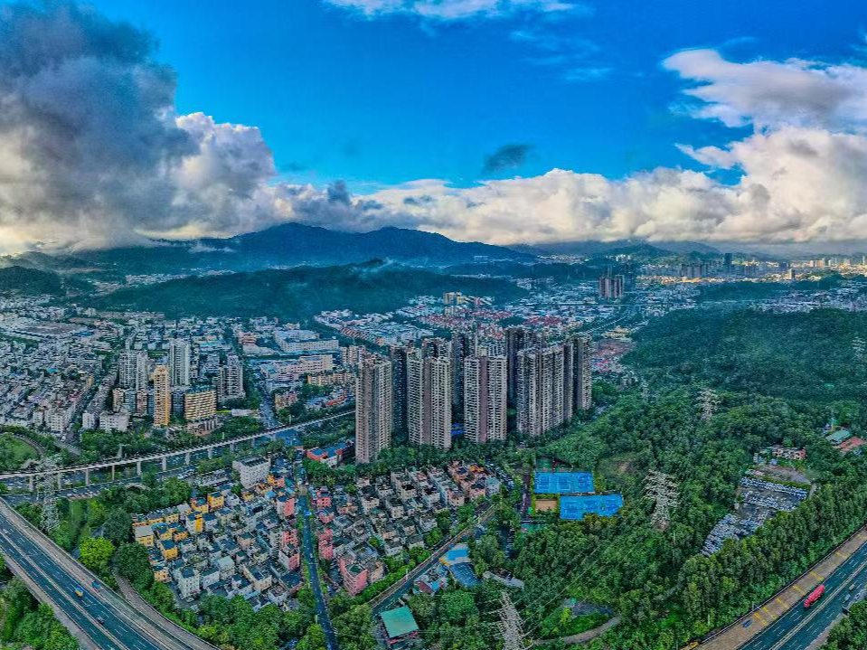 园山街道：“五大引擎”筑牢现代化产业体系硬支撑