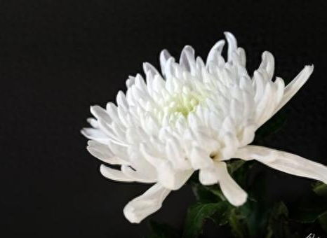 邹家华同志逝世