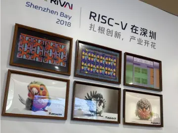 从实验室到全球市场，深圳“鹦鹉芯片”背后的硬核故事