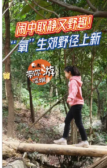 晶报带你游深圳丨闹中取静又野趣！“氧”生郊野径上新