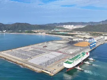 新春第一会上，从这3个小故事透视广东外贸突破9万亿的底气