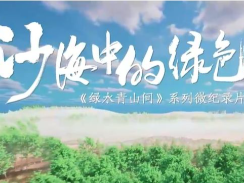 绿水青山间｜沙海中的绿色交响