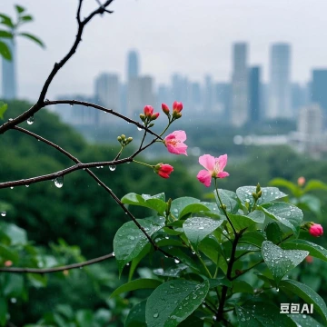 早春的第一场雨