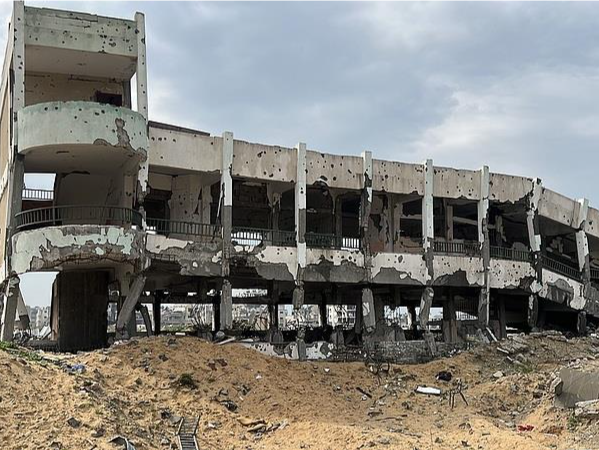 本轮巴以冲突已致加沙地带48239人死亡