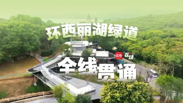 在场 | 环西丽湖绿道全线贯通！