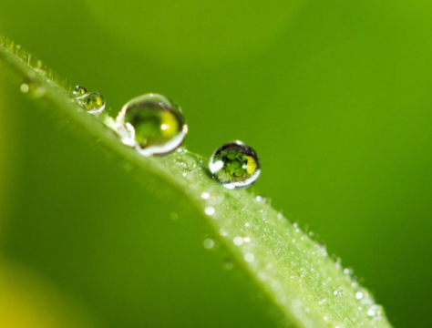 温度记 | 立春降温开场！8级大风+降雨，深圳最低气温降至……