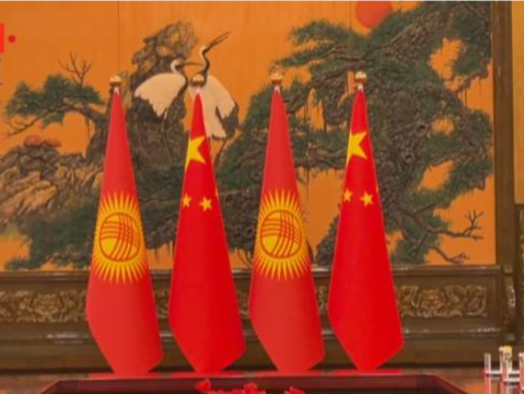 习近平同吉尔吉斯斯坦总统扎帕罗夫会谈