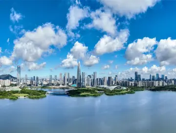 深圳坚定不移走好高质量发展之路  在进一步全面深化改革中走在前列勇当尖兵