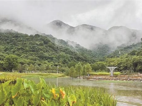 深圳建成17个绿美广东生态建设示范点