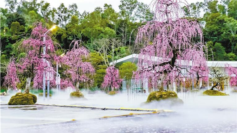 “2025年垂影一枝梅·春花集”在北站中心公园展出
