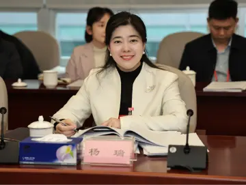 市人大代表杨瑞：提升水贝“含金量”，打造深圳珠宝特色消费圈