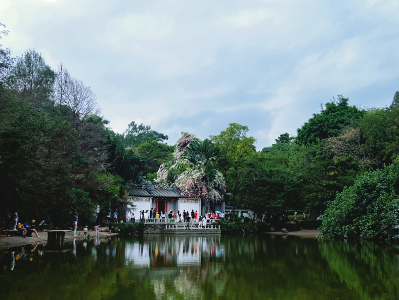 双专线联动，共赴园博园烂漫赏花之约