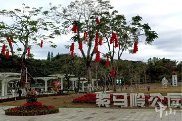 有讲究！文明出游为中山美景增色添彩