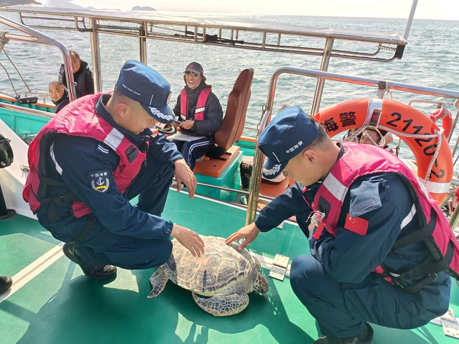 惠州海警局救助受困国宝绿海龟