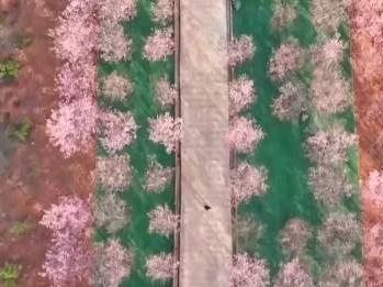 我国最早和最晚入春的城市是哪个？你那里入春了吗？