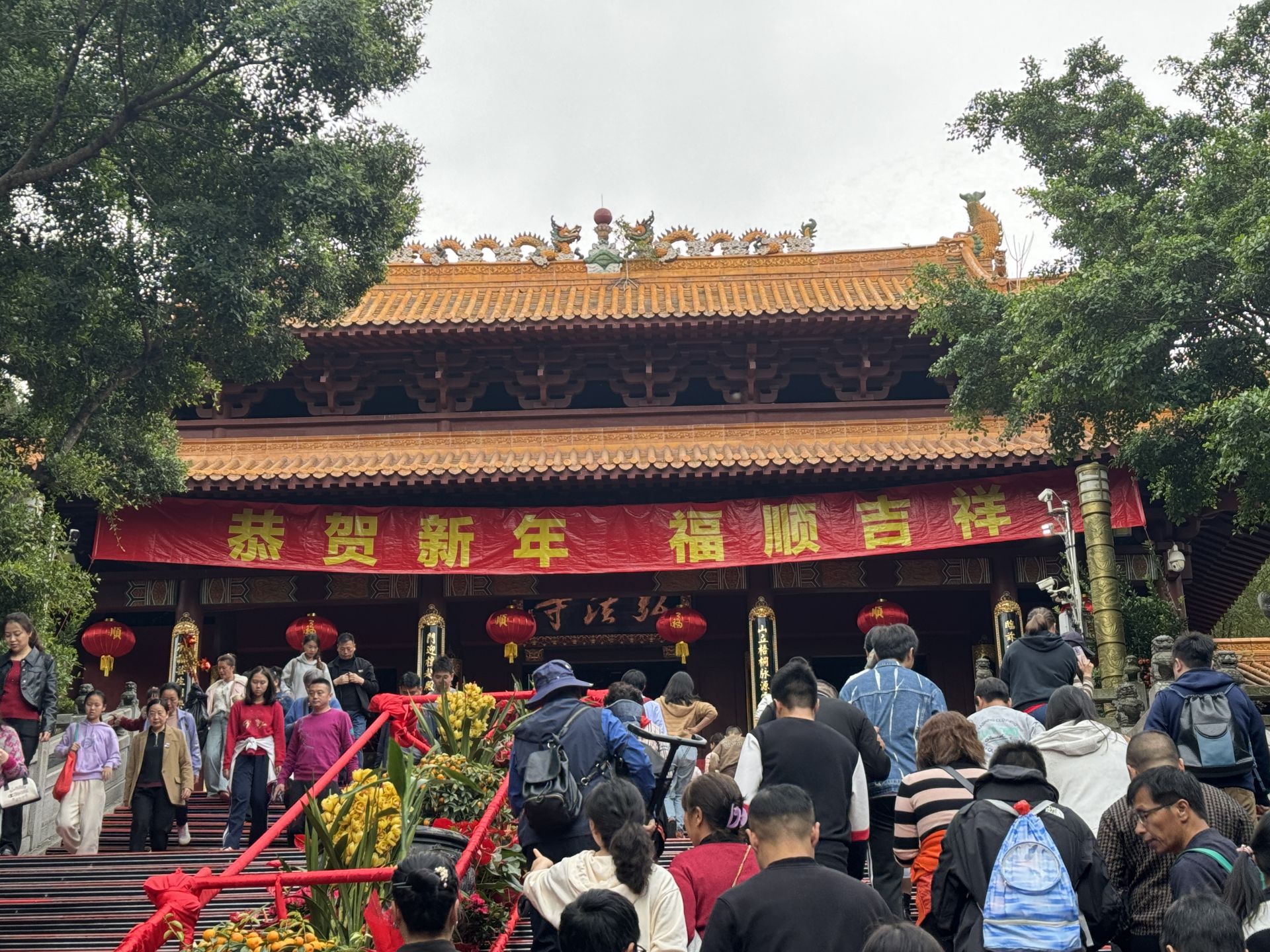 赏春花,请“财卡”!大年初五深圳市民“花式”迎财神