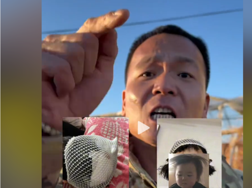 宠物狗被驯化成网红，驯狗师潘宏要求主人不得谋利，律师怎么看？| 读特普法 