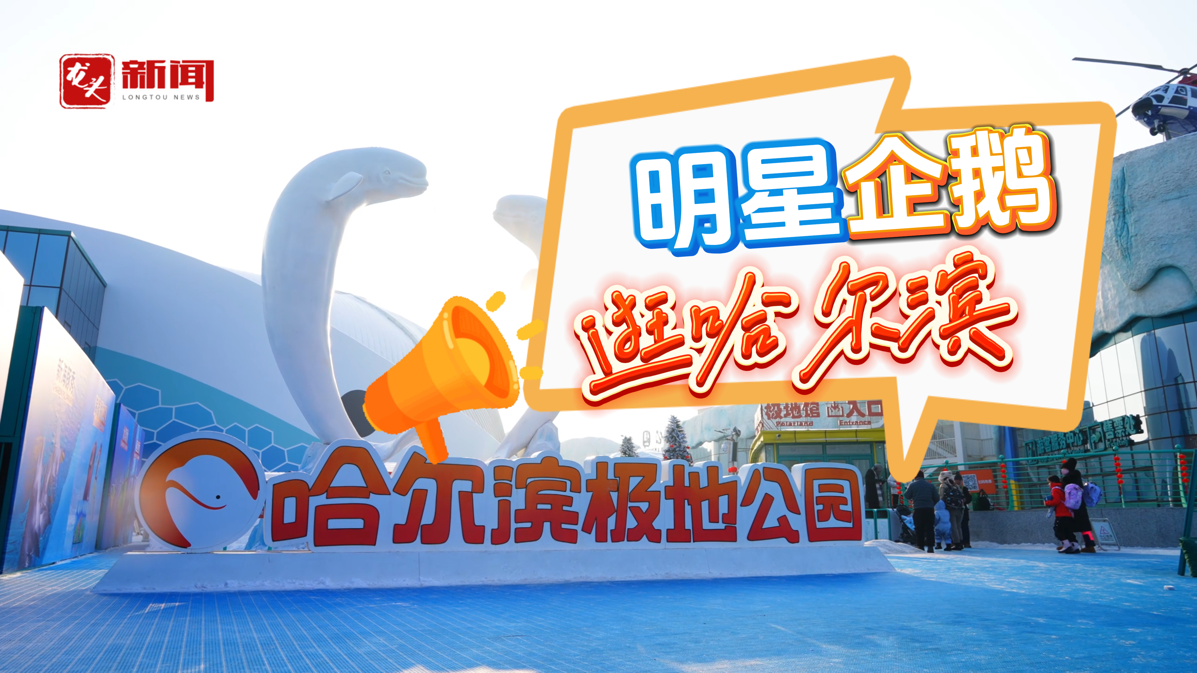 视听｜明星企鹅逛哈尔滨
