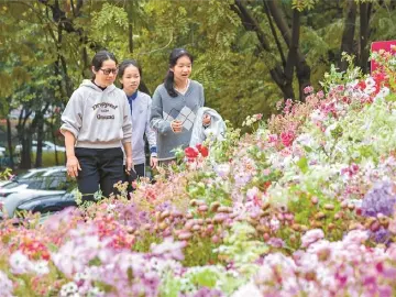 深圳的春天丨人文天地·南海潮