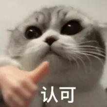0011F1AE.jpg