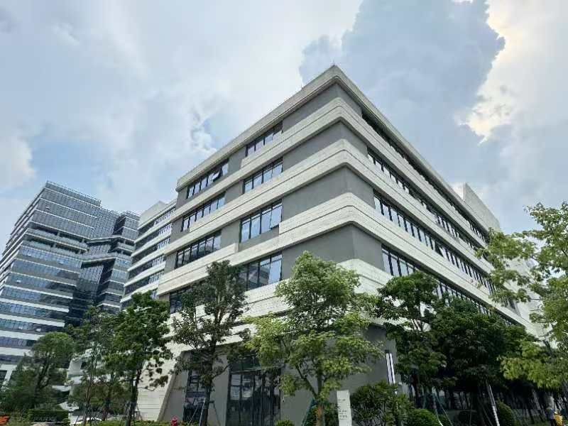 广州南沙有片“科创雨林”，开园首年税收贡献超10亿元