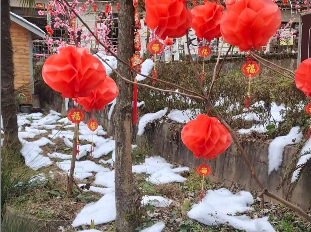 “雪花不够棉花凑”？成都一景区致歉：即日起关闭雪村