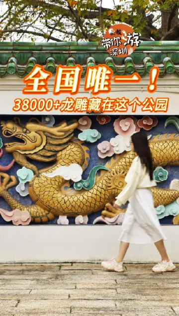 晶报带你游深圳丨全国唯一！38000+龙雕藏在这个公园