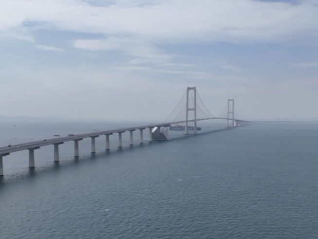 深中通道春节假期“表现”如何？一起看看他们怎么说
