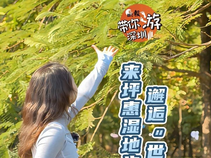 晶报带你游深圳丨来坪惠湿地步道，邂逅“世外桃源” 