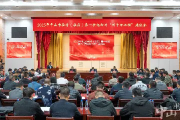 2025年中山市驻村（社区）第一书记助力“百千万工程”座谈会召开