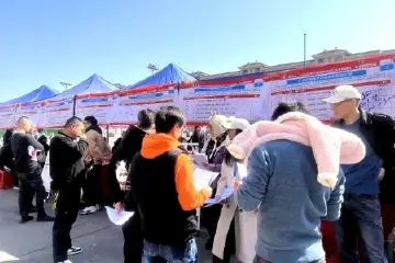 提供4000多个岗位，中山三角镇举行大型招聘会