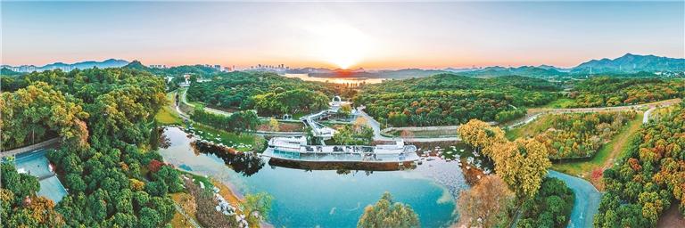 2024年深圳市“百千万工程”十件大事