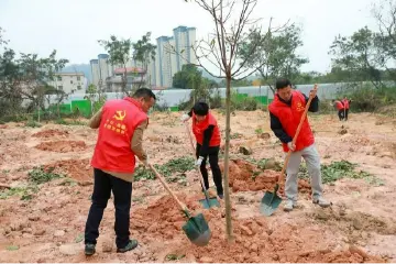逾600人种下1165株树苗，中山翠亨新区（南朗街道）奏响乡村绿化进行曲