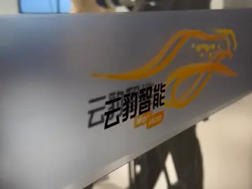 来自深圳的DPU独角兽，自研芯片为计算提速
