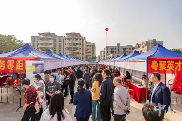 翠亨新区（南朗街道）举办大型招聘会，近九成岗位月薪达5000元及以上