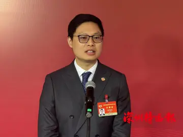徐期林：科技赋能助力完善艺术品鉴定标准 | 聚焦2025深圳两会-委员通道