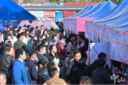 中山启动2025年“春风行动”系列招聘会