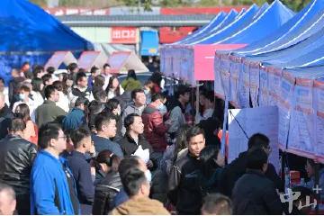 中山启动2025年“春风行动”系列招聘会