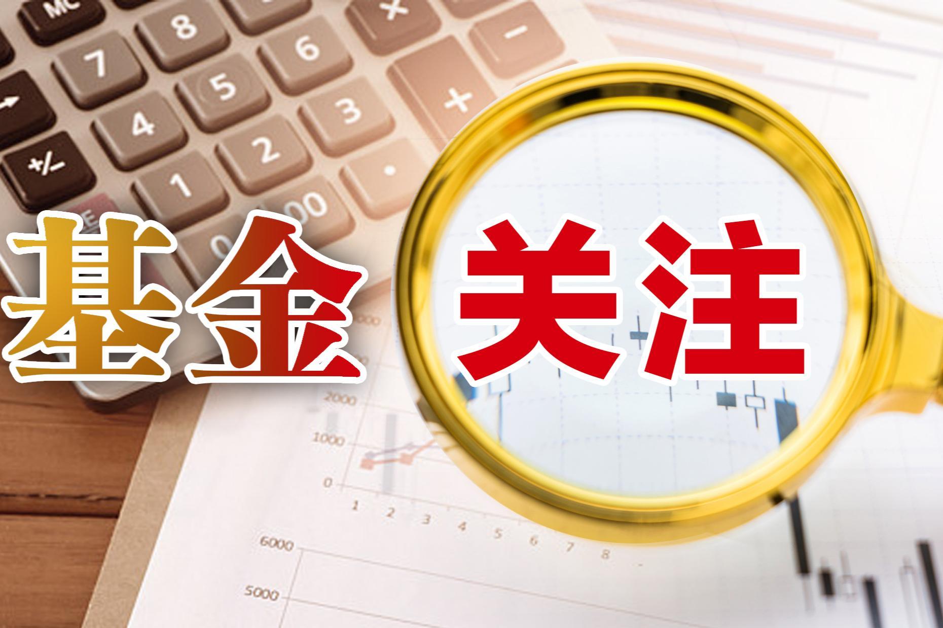 股市特别报道 | 公募基金开年派发“大红包” 分红总额同比增长翻倍