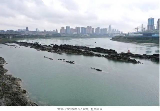 图为“龙脊石”。来源：封面新闻