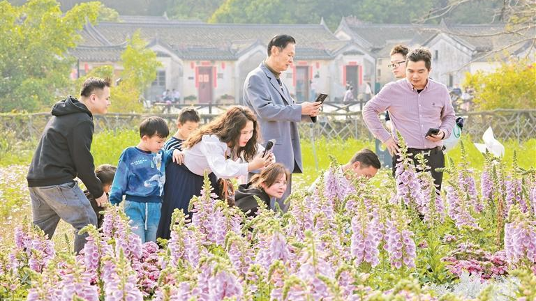 踏青寻春，共赏繁花！龙华迎来了踏春赏花热潮